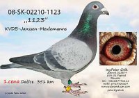 SK-11-02806-xxxx