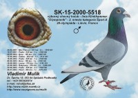 SK-11-02302-6xx